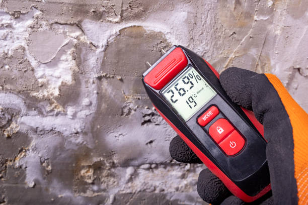 Best Attic Mold Removal  in Grangeville, ID