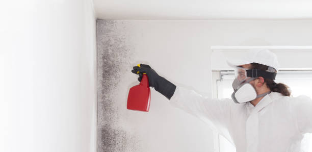 Best Mold Remediation  in Grangeville, ID