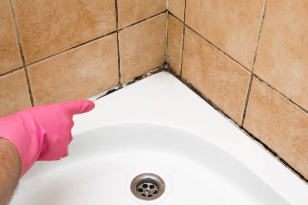 Best Mold Remediation Services  in Grangeville, ID